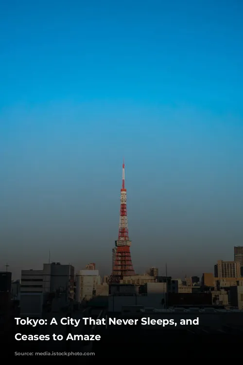 Tokyo: A City That Never Sleeps, and Never Ceases to Amaze