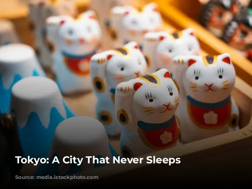 Tokyo: A City That Never Sleeps