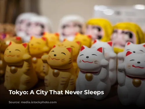 Tokyo: A City That Never Sleeps