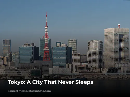 Tokyo: A City That Never Sleeps