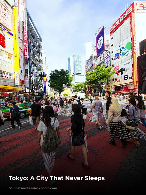 Tokyo: A City That Never Sleeps