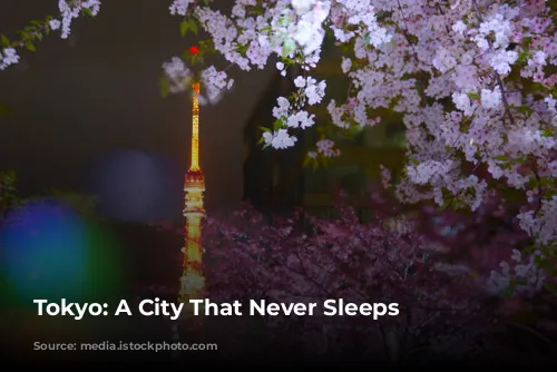 Tokyo: A City That Never Sleeps