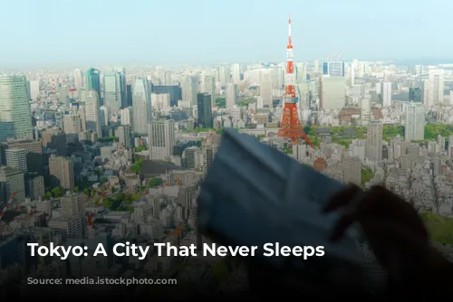 Tokyo: A City That Never Sleeps