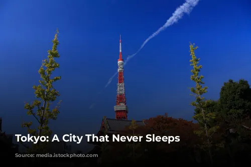 Tokyo: A City That Never Sleeps