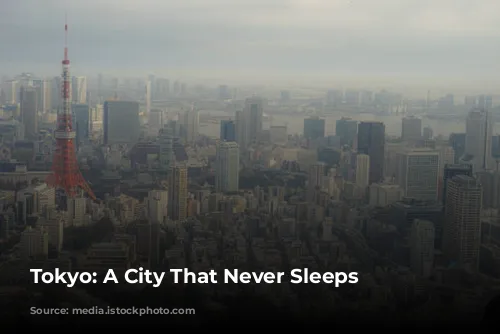 Tokyo: A City That Never Sleeps