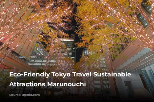 Eco-Friendly Tokyo Travel Sustainable Key Attractions Marunouchi