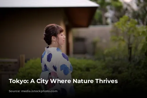 Tokyo: A City Where Nature Thrives