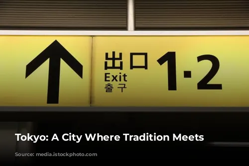 Tokyo: A City Where Tradition Meets Modernity