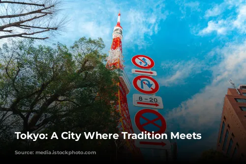 Tokyo: A City Where Tradition Meets Modernity