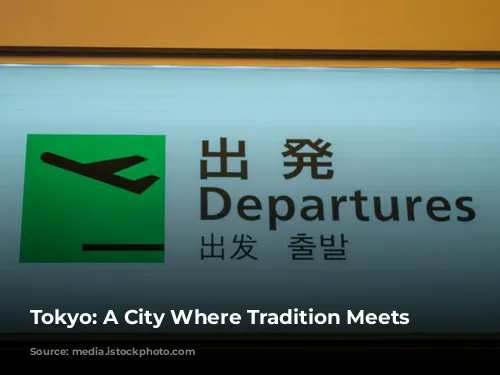 Tokyo: A City Where Tradition Meets Modernity