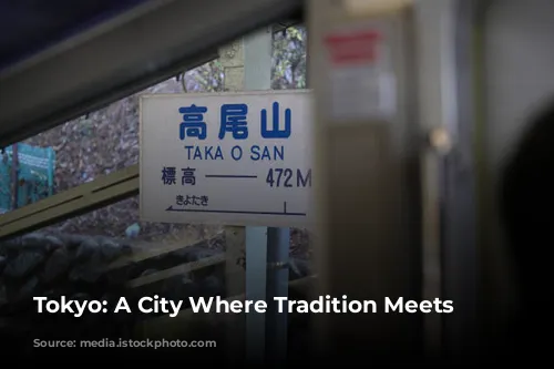 Tokyo: A City Where Tradition Meets Modernity