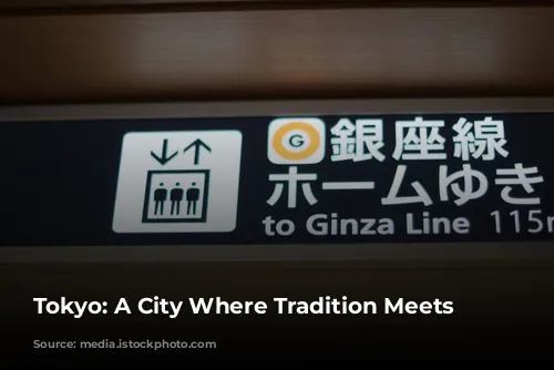 Tokyo: A City Where Tradition Meets Modernity