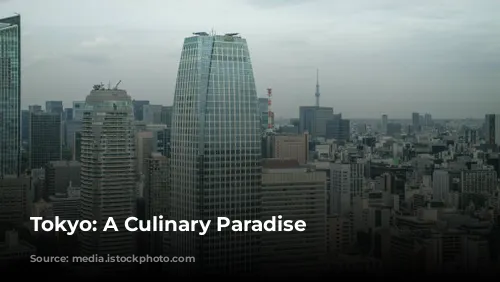 Tokyo: A Culinary Paradise