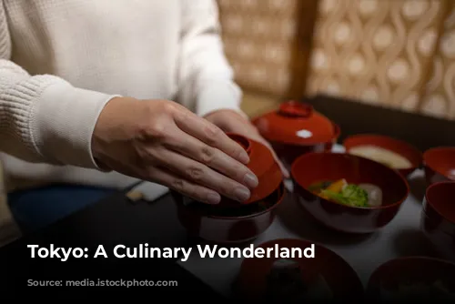 Tokyo: A Culinary Wonderland