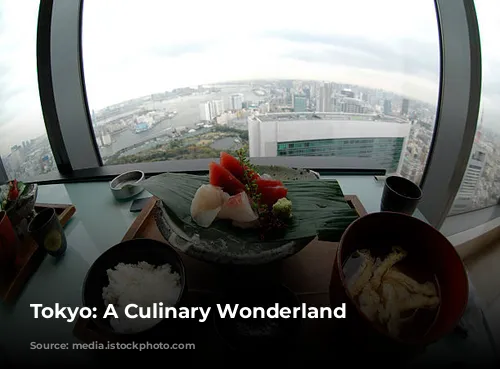 Tokyo: A Culinary Wonderland