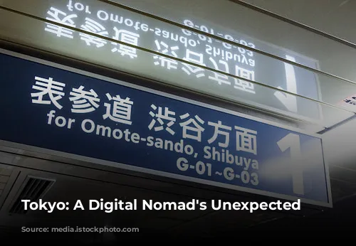 Tokyo: A Digital Nomad's Unexpected Dilemma