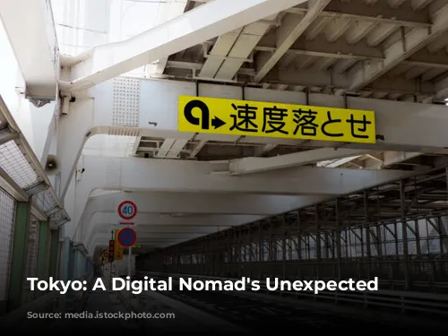 Tokyo: A Digital Nomad's Unexpected Dilemma