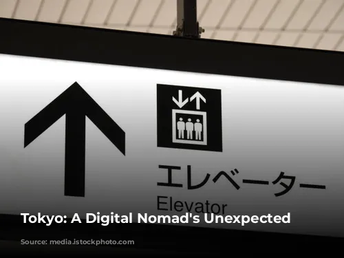 Tokyo: A Digital Nomad's Unexpected Dilemma