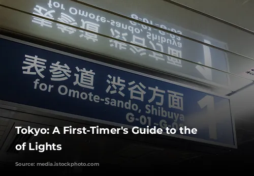 Tokyo: A First-Timer's Guide to the City of Lights