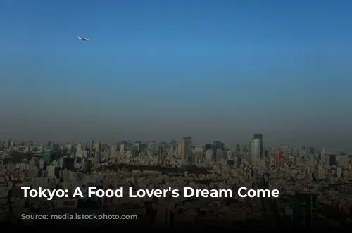 Tokyo: A Food Lover's Dream Come True