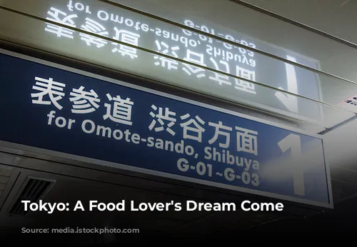 Tokyo: A Food Lover's Dream Come True