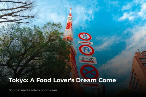 Tokyo: A Food Lover's Dream Come True