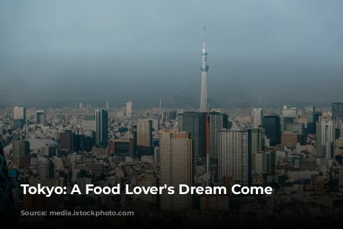 Tokyo: A Food Lover's Dream Come True