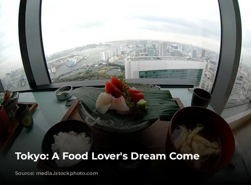 Tokyo: A Food Lover's Dream Come True