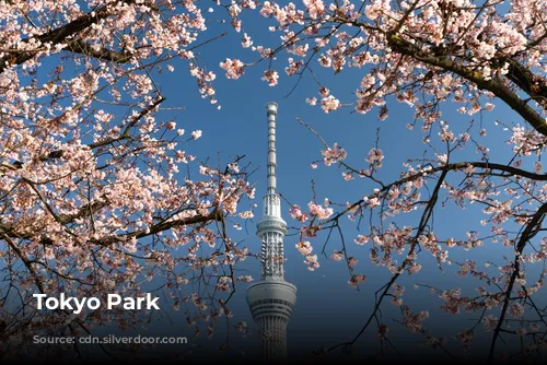 Tokyo Park