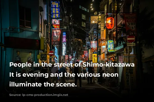 People in the street of Shimo-kitazawa district. It is evening and the various neon lights illuminate the scene.