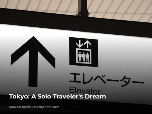 Tokyo: A Solo Traveler's Dream