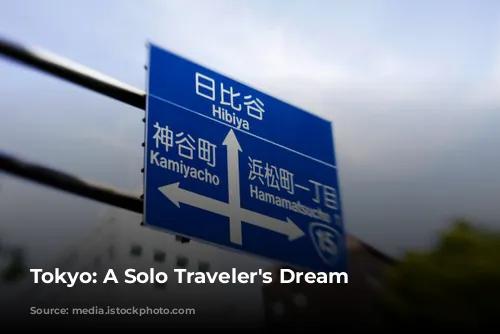 Tokyo: A Solo Traveler's Dream