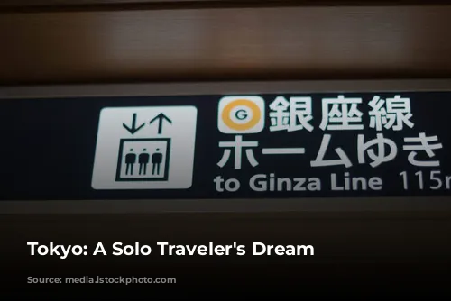 Tokyo: A Solo Traveler's Dream