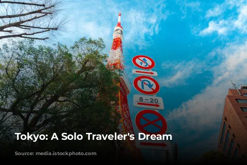 Tokyo: A Solo Traveler's Dream