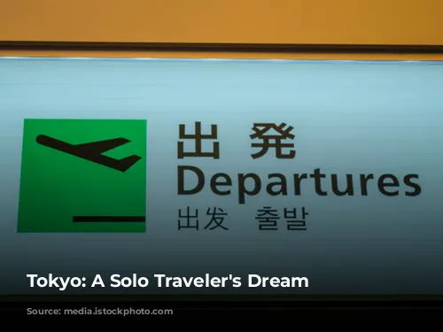 Tokyo: A Solo Traveler's Dream