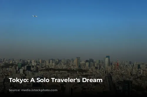 Tokyo: A Solo Traveler's Dream