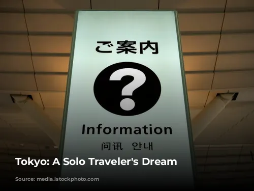 Tokyo: A Solo Traveler's Dream