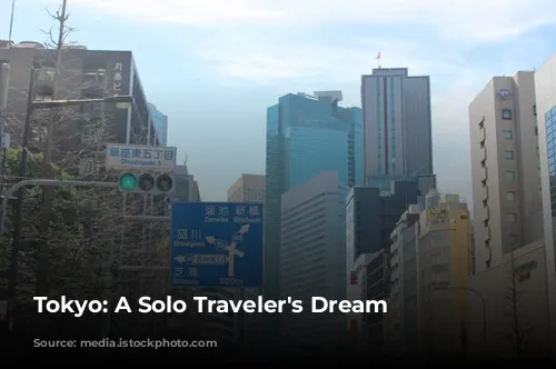 Tokyo: A Solo Traveler's Dream