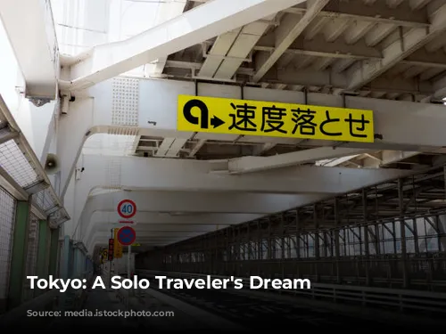 Tokyo: A Solo Traveler's Dream