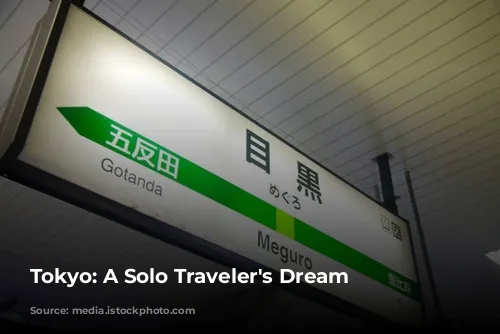 Tokyo: A Solo Traveler's Dream