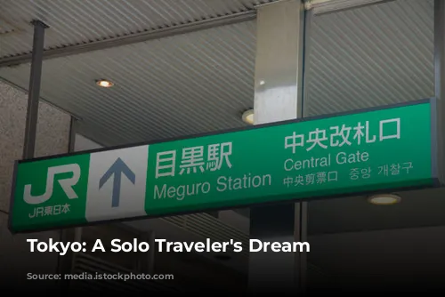 Tokyo: A Solo Traveler's Dream