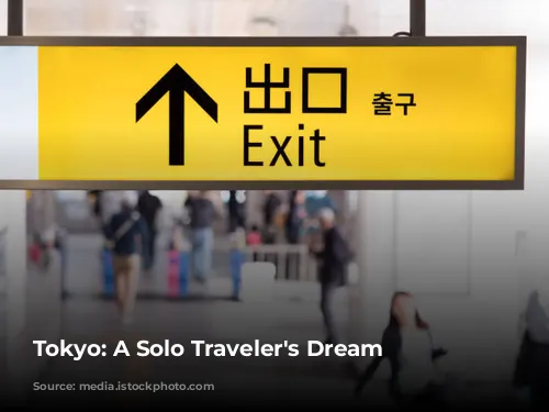 Tokyo: A Solo Traveler's Dream