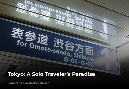 Tokyo: A Solo Traveler's Paradise