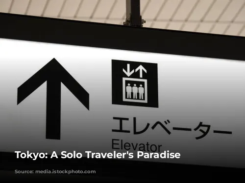 Tokyo: A Solo Traveler's Paradise