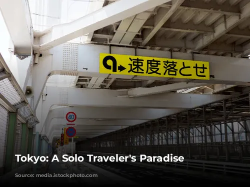 Tokyo: A Solo Traveler's Paradise