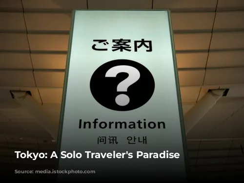 Tokyo: A Solo Traveler's Paradise