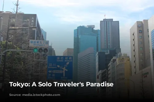 Tokyo: A Solo Traveler's Paradise