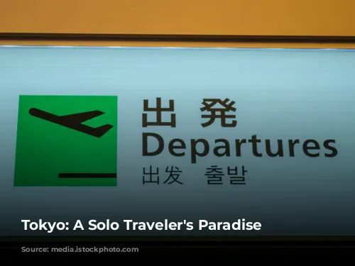 Tokyo: A Solo Traveler's Paradise