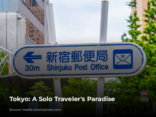 Tokyo: A Solo Traveler's Paradise