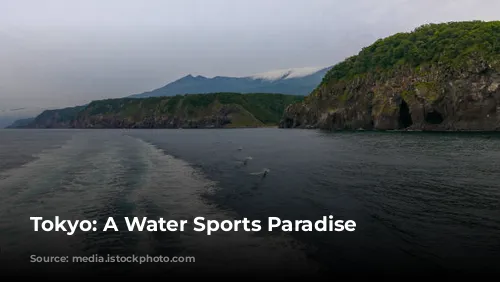 Tokyo: A Water Sports Paradise